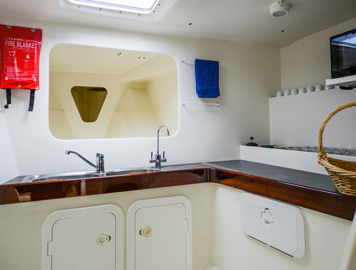 Akaroa Dolphins Luxury Catamaran - Most stable boat in Akaroa