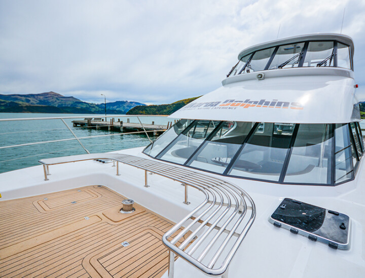 Akaroa Dolphins Luxury Catamaran - Most stable boat in Akaroa