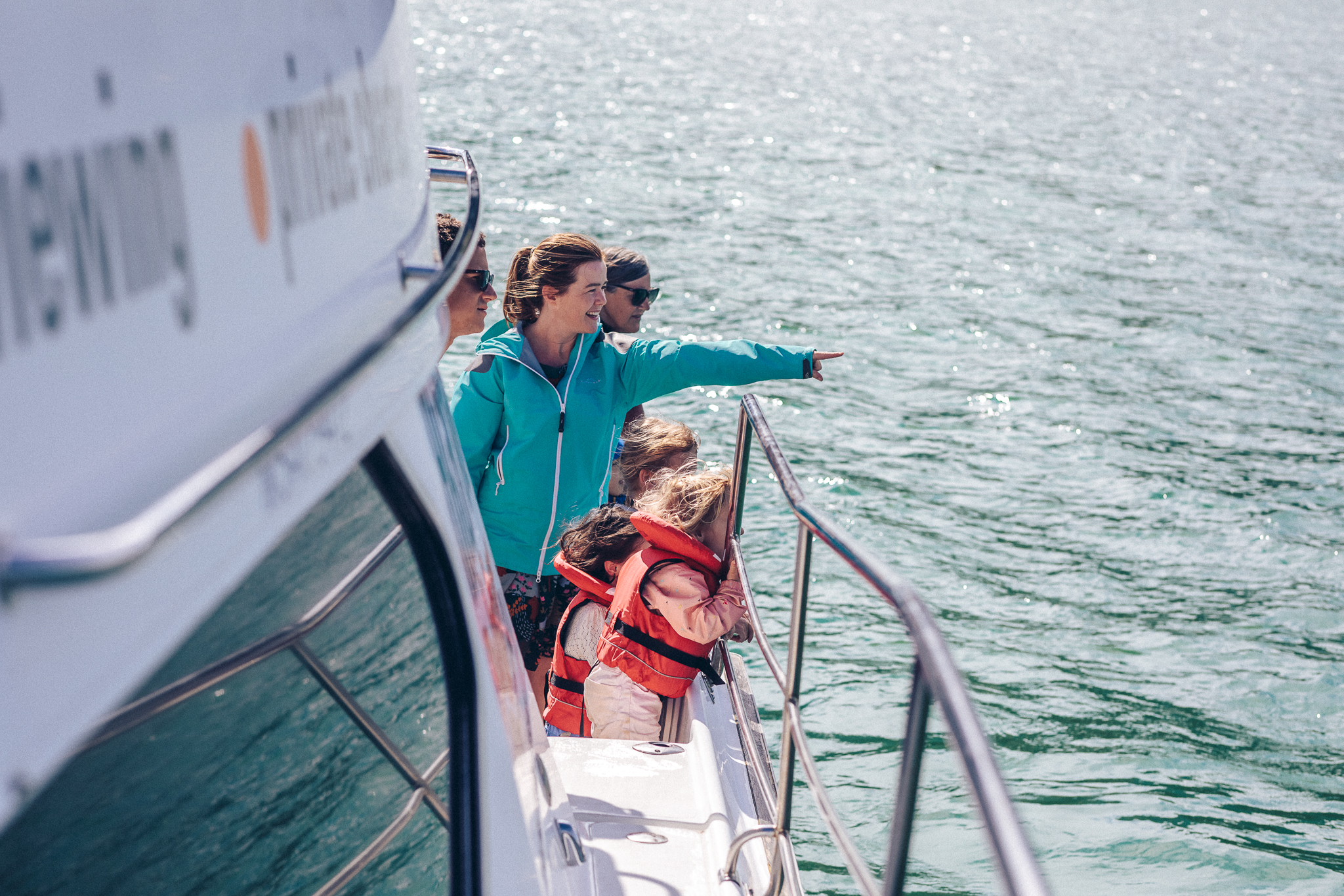 akaroa harbour cruise