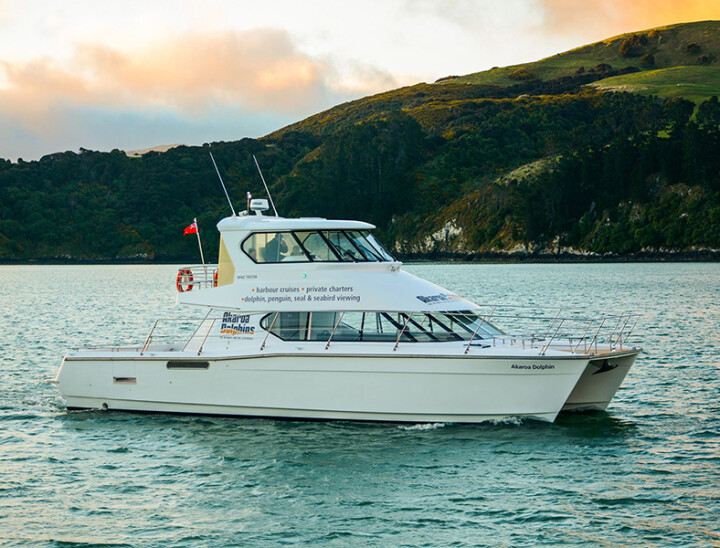 Akaroa Dolphin II