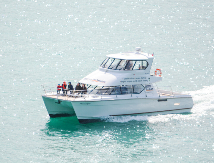 'Akaroa Dolphin' our purpose built catamaran